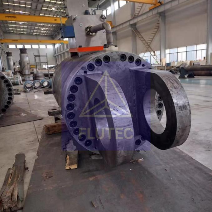 100% drukonderzoek gespannen hydraulische cilinders voor de staalindustrie 5