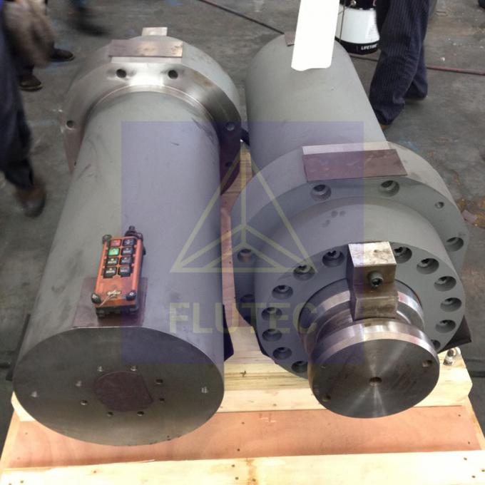 Gezelsde hydraulische cilinder voor een drukpers van 100 ton 1