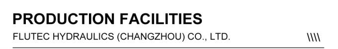 ISO9001 Hydraulische cilinders op maat / Hydraulische boomcilinder voor emmergraver 2