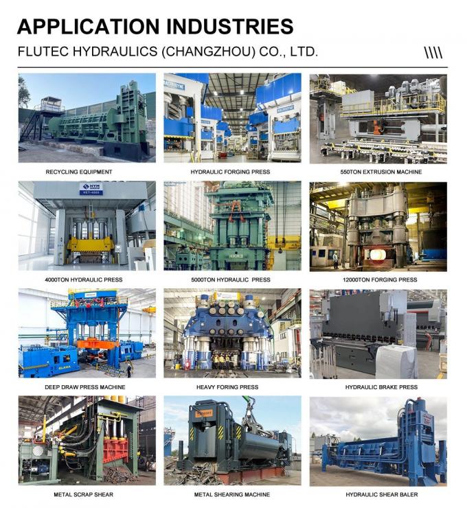 ISO 6022 Gepaste hydraulische cilinders zuigertype voor scheepskraan 7