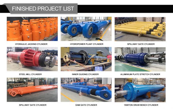 100% drukonderzoek Marine hydraulische cilinder met dubbele werking voor scheepskraan 6