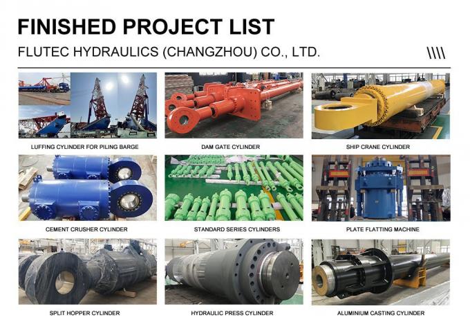 Gepersonaliseerde marine hydraulische cilinder 40Mpa voor hydraulische smeedpers 6