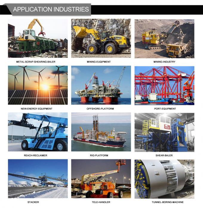 Stabiel / betrouwbaar marine hydraulische cilinder voor jack-up werkplatform 4