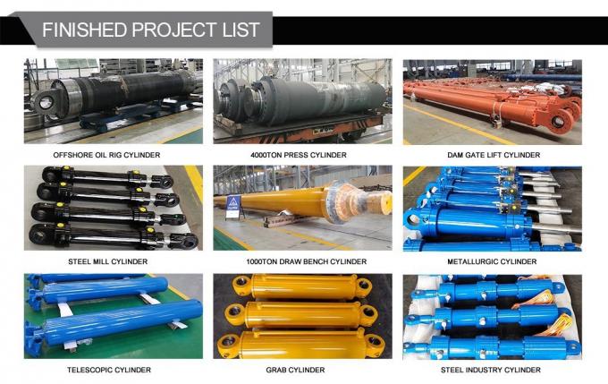 Flutec Grote boringen Hydraulische cilinder Tailer-Made Long Stroke voor scheer 4
