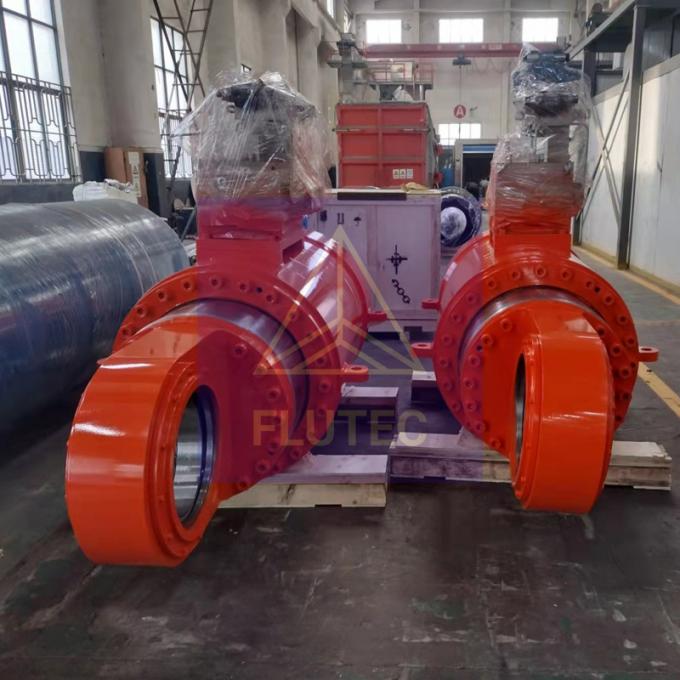 Gecustomiseerde hydraulische cilinders voor de staalindustrie 2