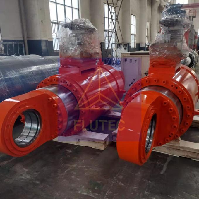 Gecustomiseerde hydraulische cilinders voor de staalindustrie 0