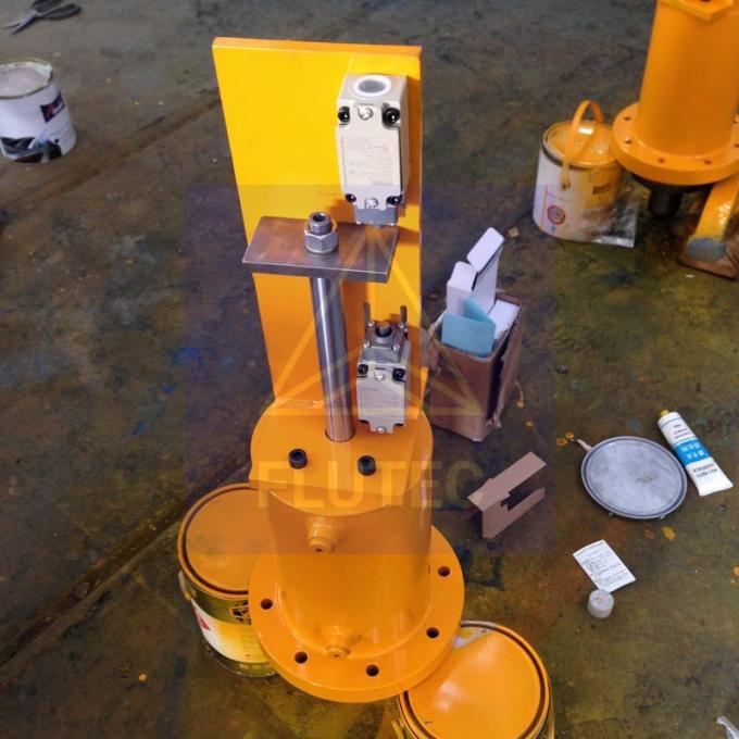 SGS-gecertificeerde hydraulische cilinder voor dampoort 5